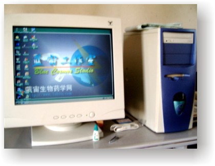 湤Ψһһ̨